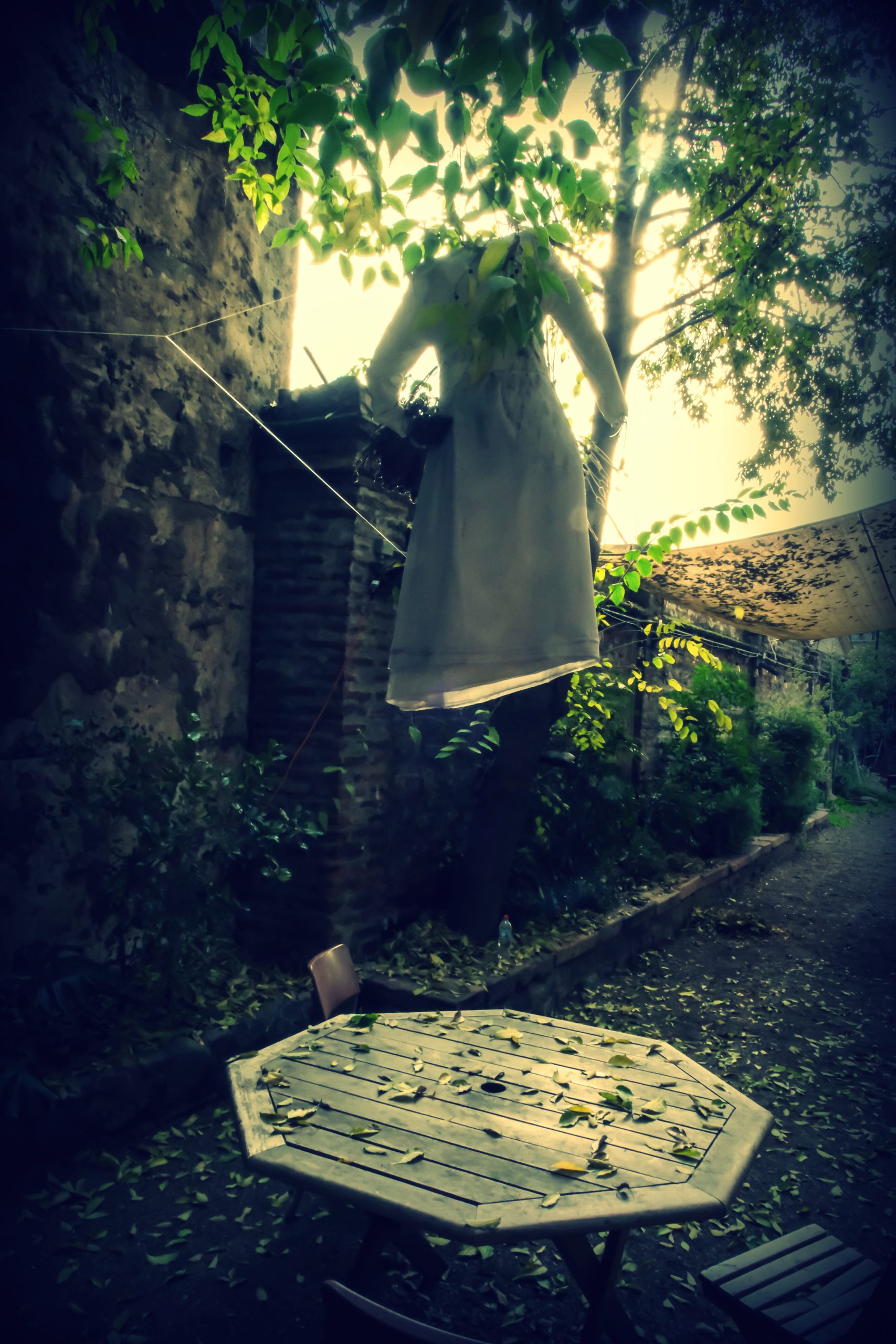 Artisticas2 (12)