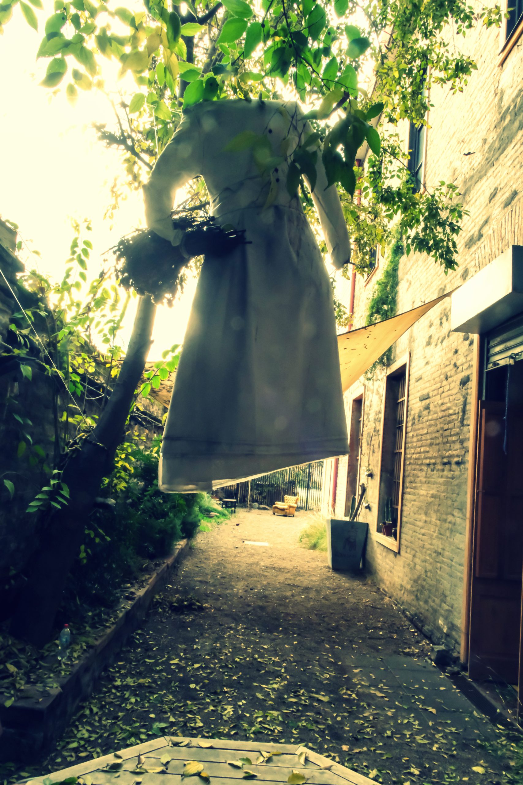 Artisticas2 (13)